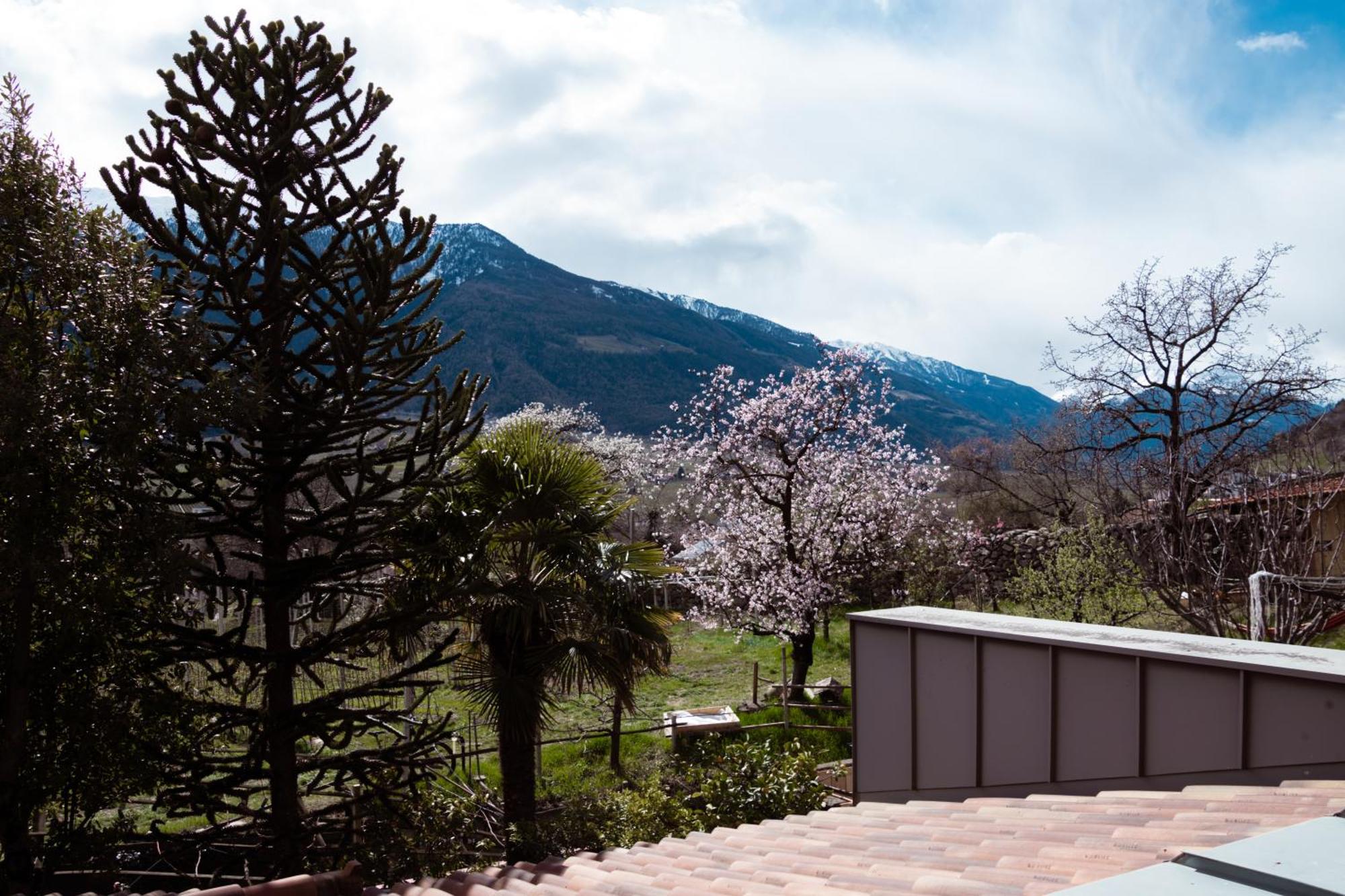 나투르노 Garni Unterwegguetl B&B 외부 사진