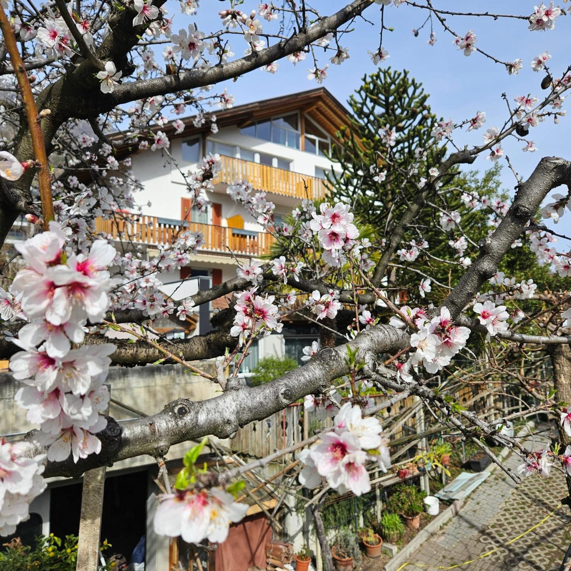 나투르노 Garni Unterwegguetl B&B 외부 사진